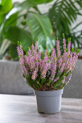 Similar image 22416762