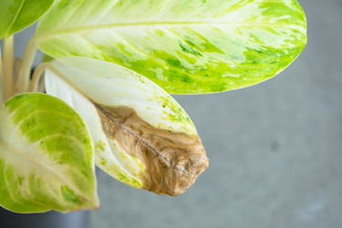 Similar image 22416768