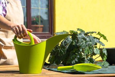 Similar image 22416771