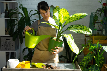 Similar image 22436792