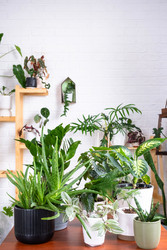 Similar image 22416773