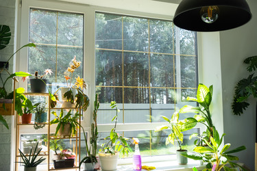 Similar image 22416774