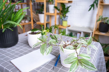 Similar image 22416775