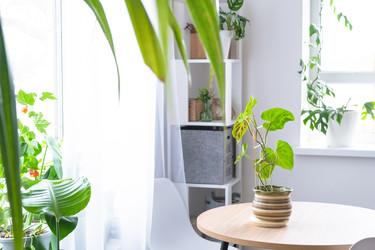 Similar image 22416778