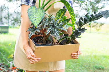 Similar image 22436802