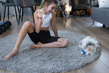 Similar image 22436804