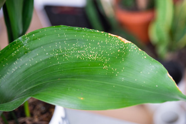 Similar image 22416787