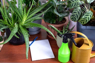 Similar image 22416788