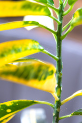 Similar image 22416789