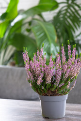 Similar image 22416791