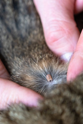 Similar image 22416792