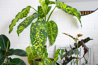 Similar image 22416793