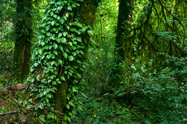 Similar image 22419025