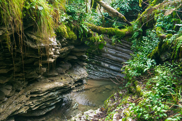 Similar image 22419027