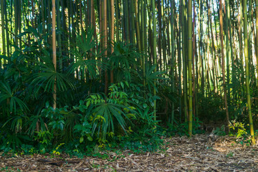 Similar image 22419031