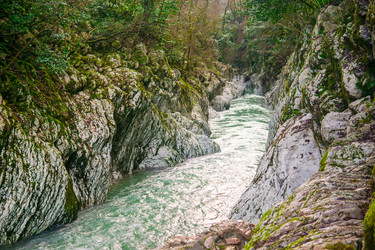 Similar image 22419032