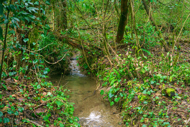 Similar image 22419034