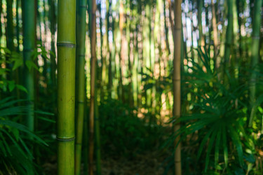 Similar image 22419035