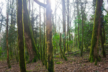 Similar image 22419036