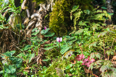 Similar image 22419037