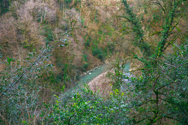 Similar image 22419038