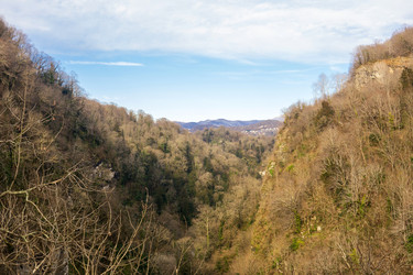 Similar image 22419039