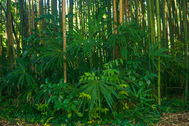 Similar image 22419040