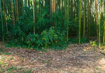 Similar image 22419041