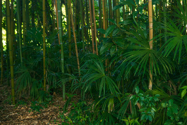 Similar image 22419042