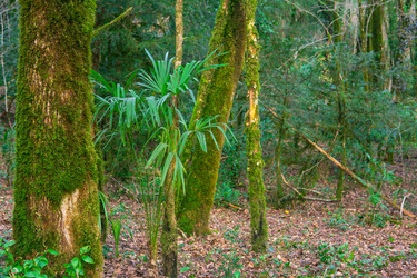 Similar image 22419043