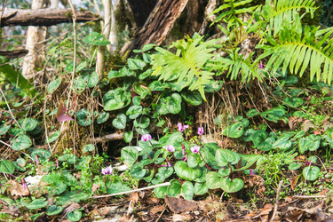 Similar image 22419045