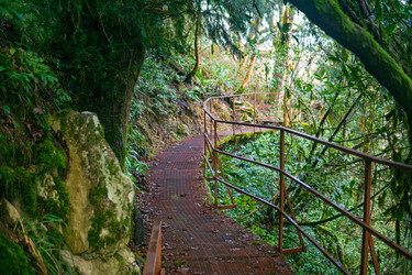 Similar image 22419046