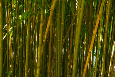 Similar image 22419047