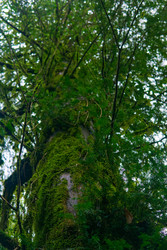 Similar image 22419048