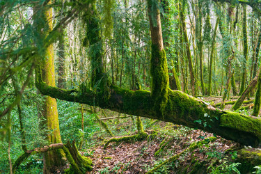 Similar image 22419050