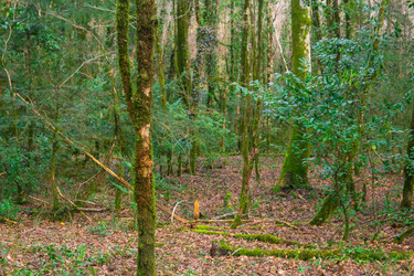 Similar image 22419052