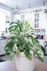 Similar image 22436830