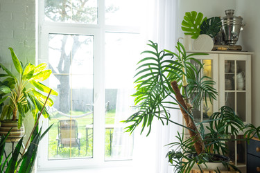 Similar image 22436831