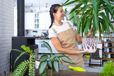 Similar image 22436833