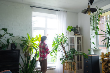 Similar image 22436834