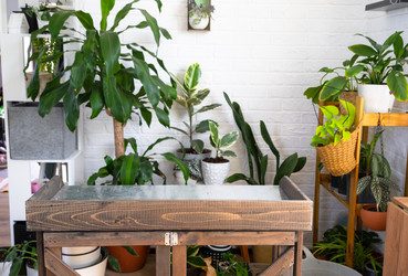 Similar image 22436838