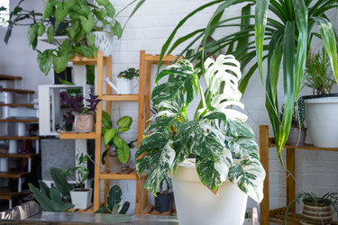 Similar image 22436841