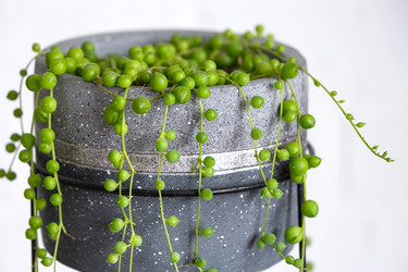 Similar image 22436844