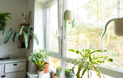 Similar image 22436853