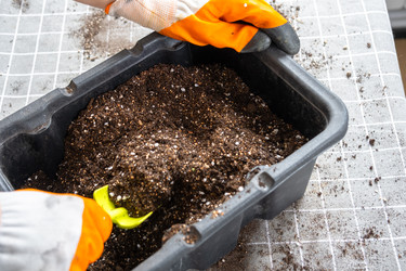 Similar image 22436855