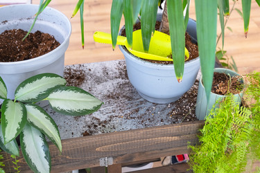 Similar image 22436859