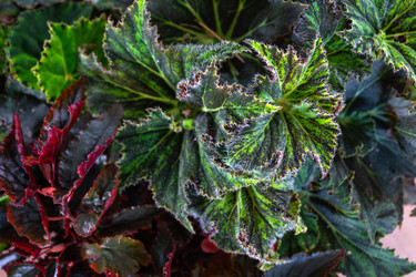 Similar image 22436865