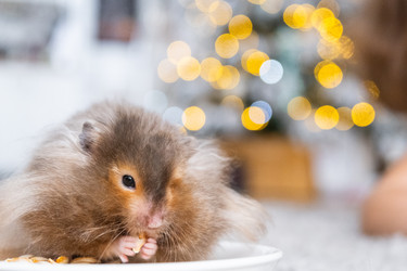 Similar image 22436867