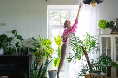 Similar image 22436868