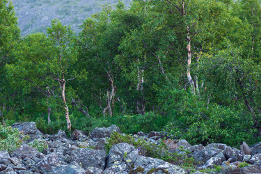 Similar image 22419141